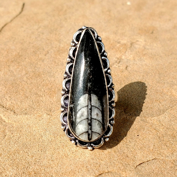 New Orthoceras Fossil Silver Ring. - Picture 2 of 6